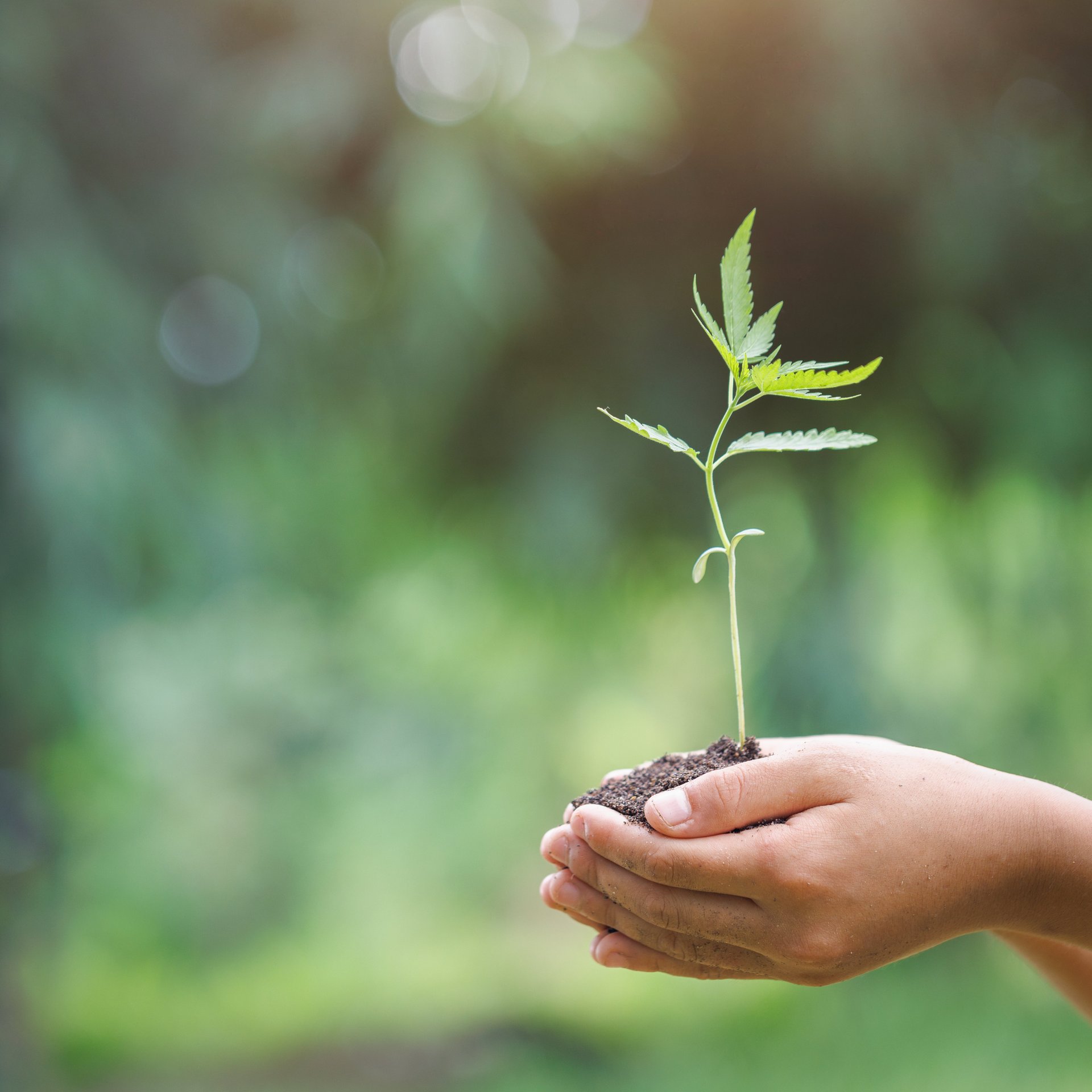 Sustainability approach in production and climate protection - Colasit